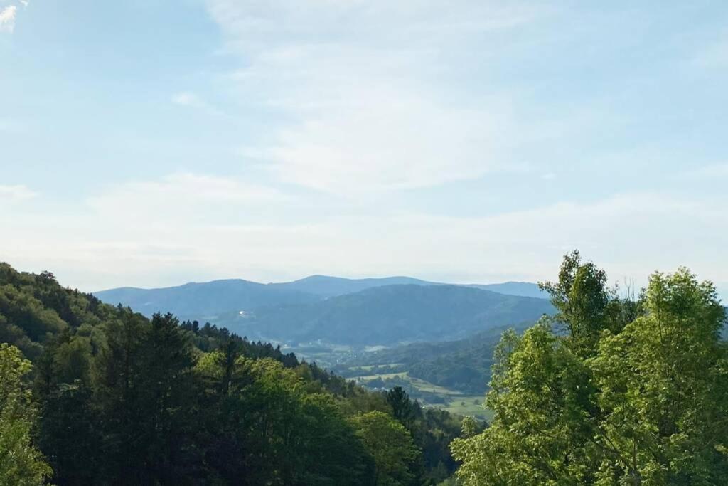 Mitten Im Bayerischen Wald + Schonblick + Urig + Netflix Schöfweg Eksteriør billede